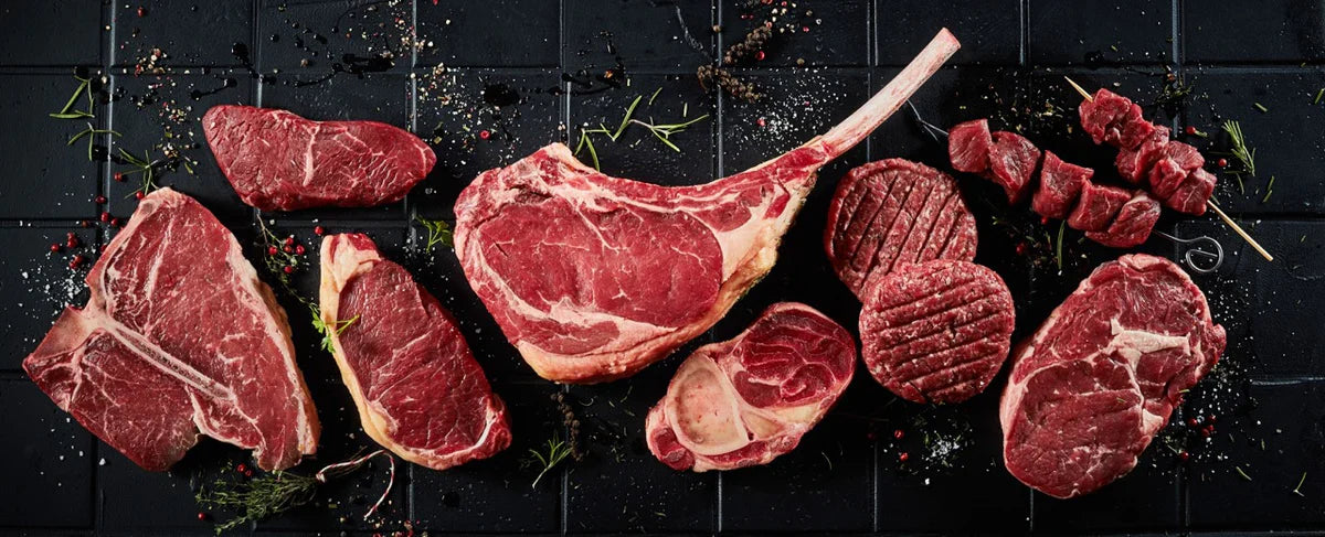 Fuel the Primal Life
