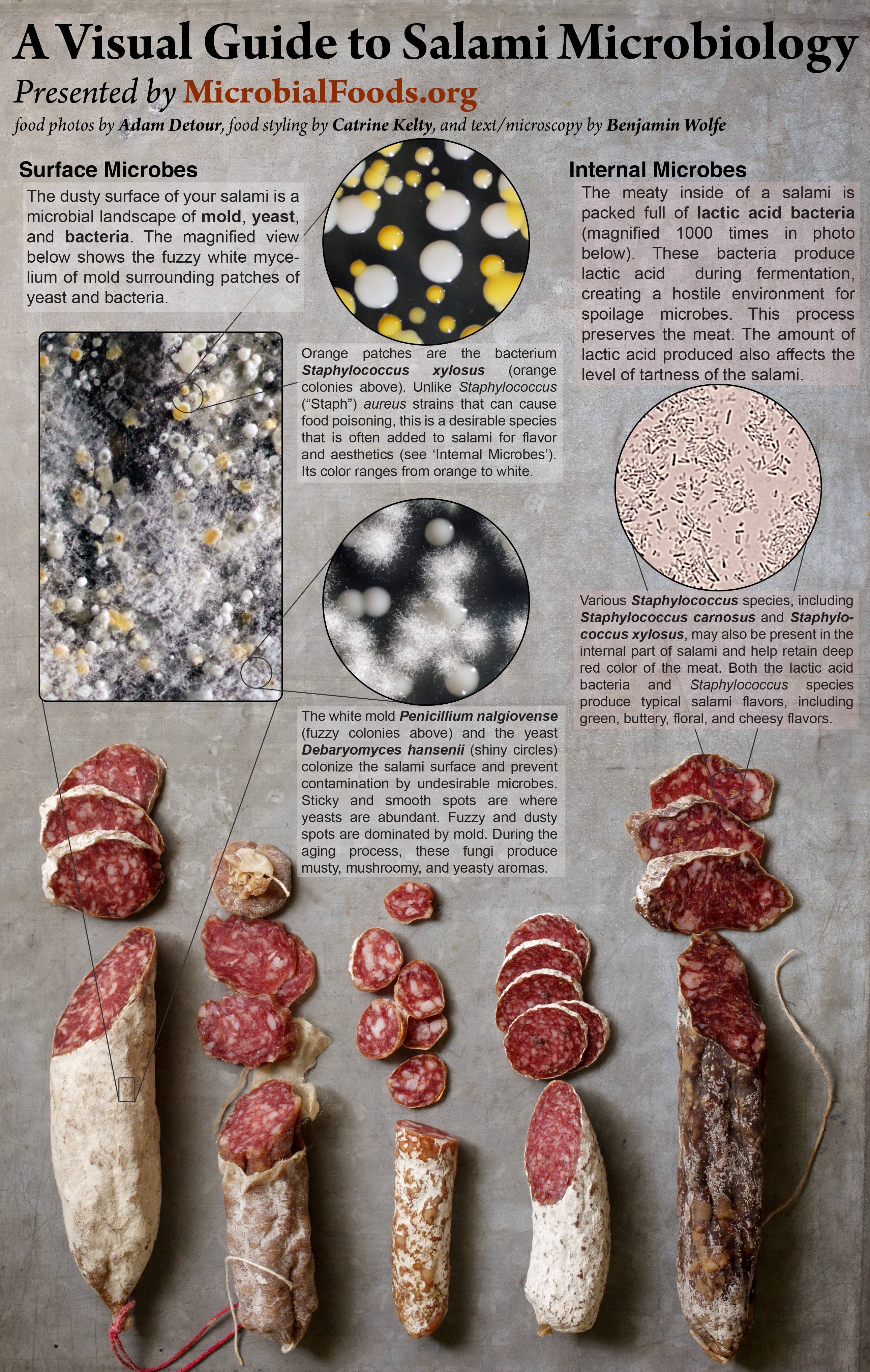 Lupo Salami - Foris Extraordinary Meats