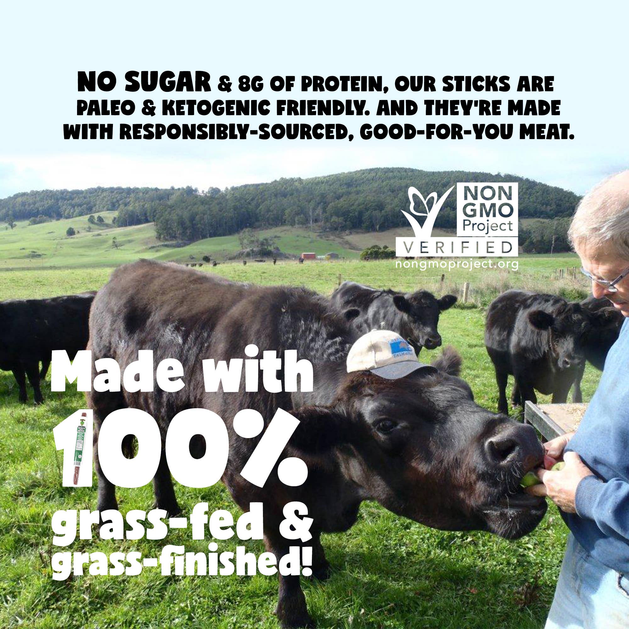 Chimichurri 100% Grass-Fed Beef Sticks - Sugar Free (Sogo Snacks)